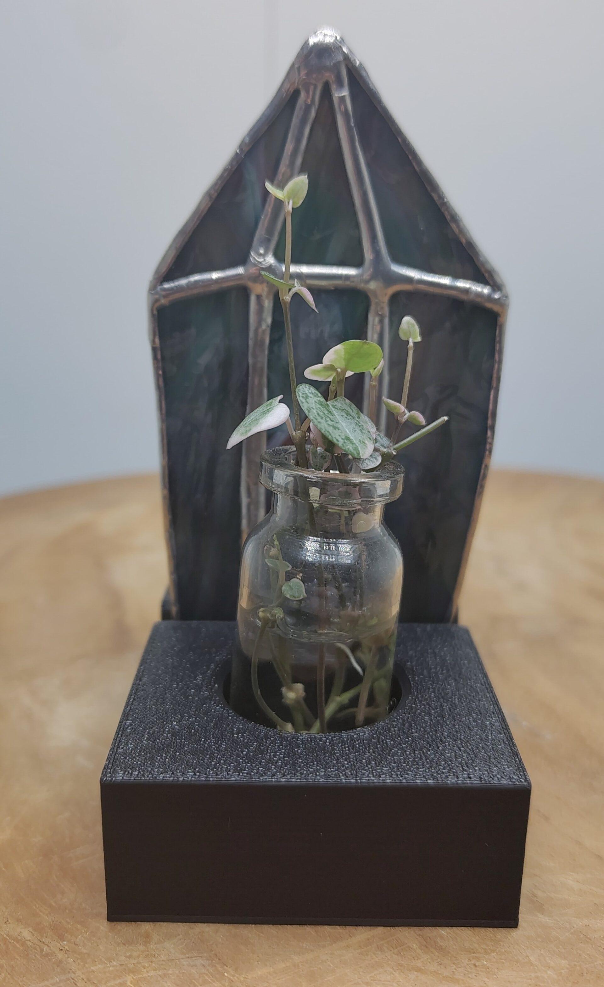 Blue Gem Propagation Station